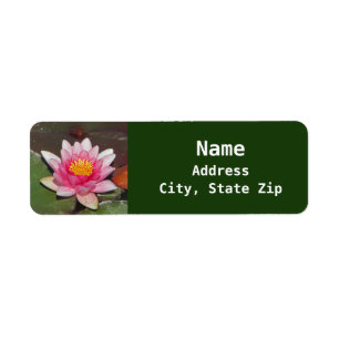 Etiqueta Floral Water Lily Foto Linda Flor Rosa