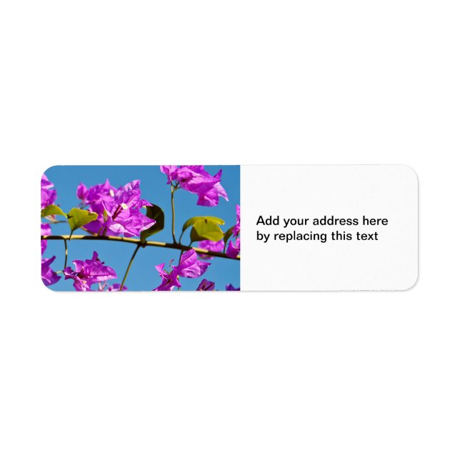 Etiqueta Flores Bougainvillea (Frente)