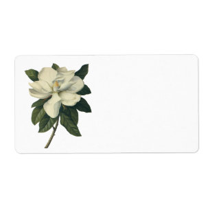 Etiqueta Flores brancas de florescência da flor da magnól