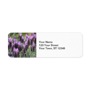 Etiqueta Flores de lavanda