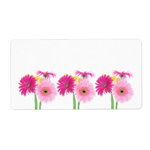 Etiqueta Flores de Piink da margarida do Gerbera