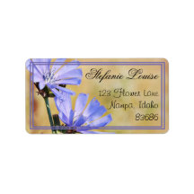 Flores Selvagens pela Manhã