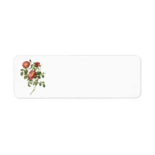 Etiqueta Flores Vintage Rosa vermelha Floral do Amor por Re