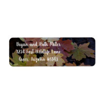 Folhas de outono por todo o lado