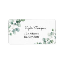 Folhas verdes de eucalipto