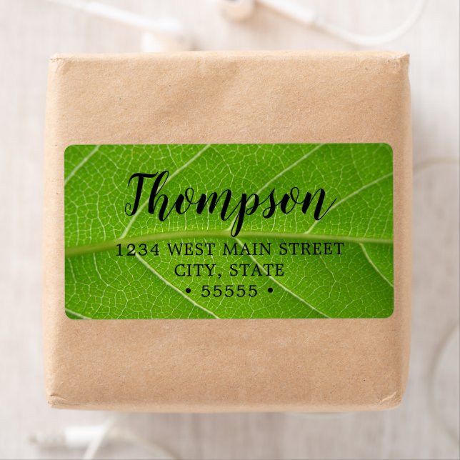 Etiqueta Folheto Bonito Verde Fecha Folha Verde (Insitu)