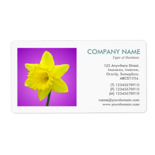 Etiqueta Foto ao quadrado - Daffodil