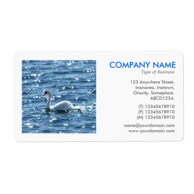 Etiqueta Foto ao quadrado - Swan (Frente)