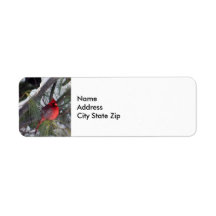 Foto de árvore de pinheiro de neve cardeal