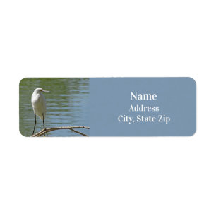 Etiqueta Foto de Birdwatcher Selvagem de Egret Branco Lakes
