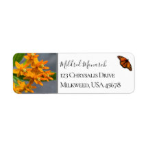 Foto de Febre de Borboleta Personalizada Nativa de