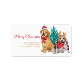 Etiqueta Foto de Natal divertida Endereço de retorno mínimo