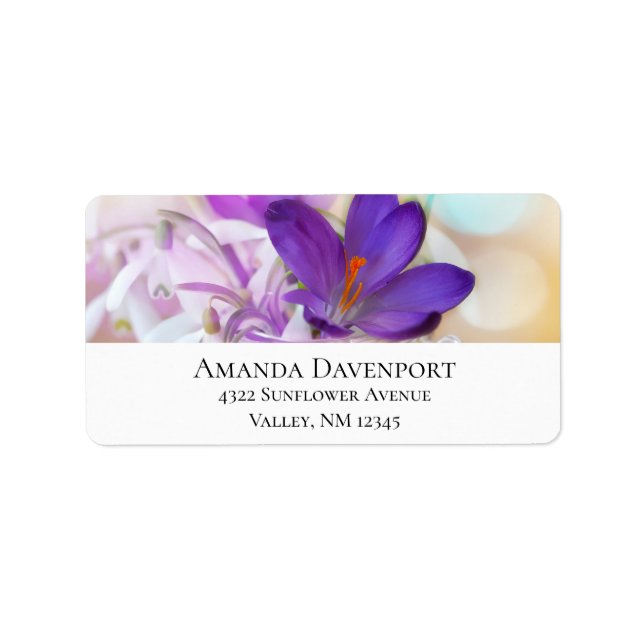 Etiqueta Foto de um Bonito Primavera-Crocus Roxo (Frente)