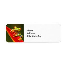 Etiqueta Foto do Sapo da Árvore Vermelha Wildlife