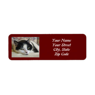 Etiqueta Foto Personalizada de Gato Branco Branco Branco Br