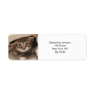Etiqueta Foto Pet Personalizada