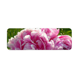 Etiqueta Foto rosa de Peony caseiro caseiro caseiro floral