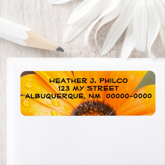 Etiqueta Fotografia de meia-estreia laranja-escuro (Insitu)