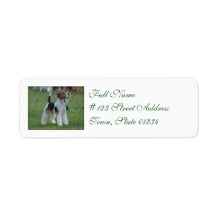 Etiqueta Fox Terrier
