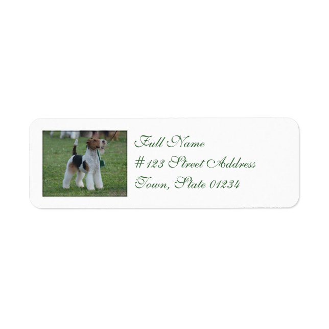 Etiqueta Fox Terrier (Frente)