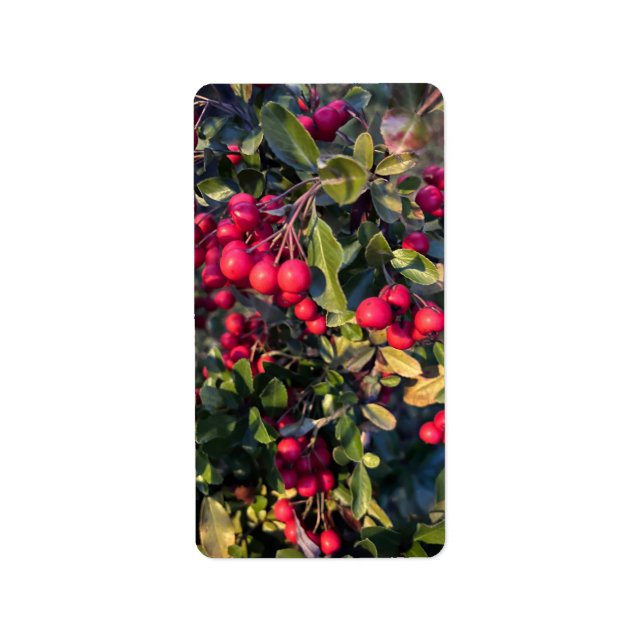 Etiqueta Fruta de outono (Frente)