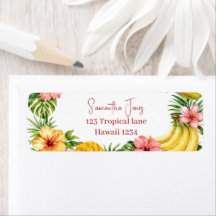 Frutas Tropicais Abacaxi Chuvada de Bebê Havaiana