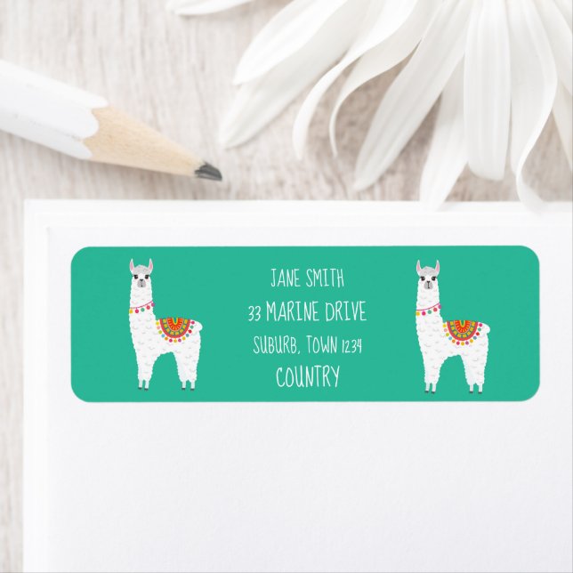 Etiqueta Funky alpaca drama lama (Insitu)