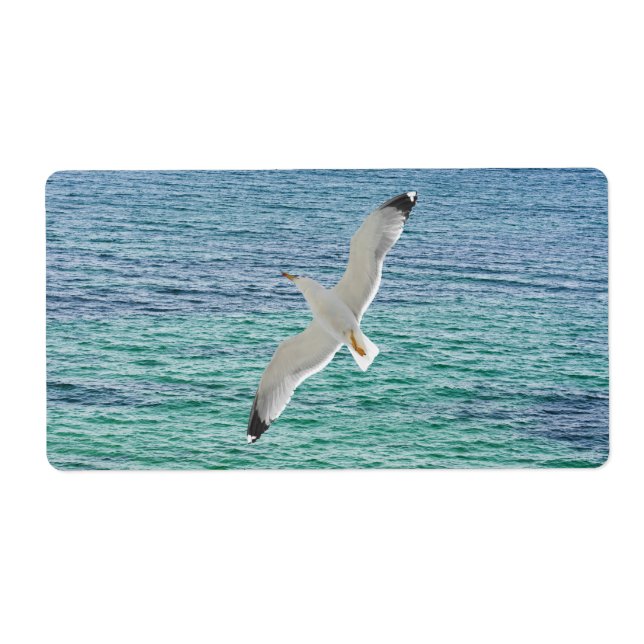 Etiqueta Gaivota sobre o mar (Frente)