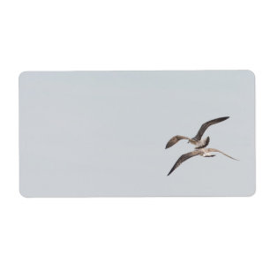Etiqueta Gaivotas voadoras
