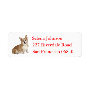 Etiqueta Galês Pembroke Corgi - Cão-Puppi