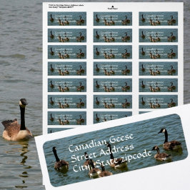 Etiqueta Gansos canadenses no endereço de devolução de foto