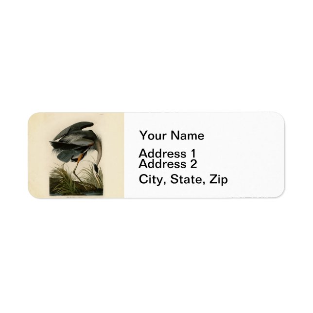 Etiqueta Garça-real-marrom de Audubon (Frente)