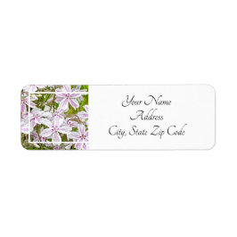 Etiqueta Garden Delight