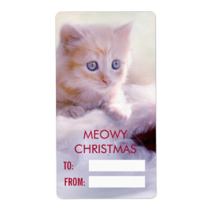 Etiqueta Gatinho Bonito Descansando em um Natal Feliz