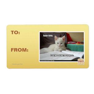 Etiqueta Gatinho do tutor