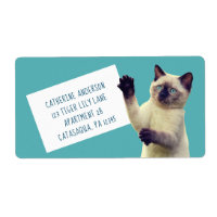 Gatinho Siamês Gelado Azul Grande