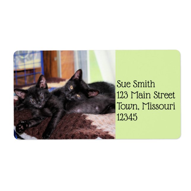 Etiqueta Gatinhos (Frente)