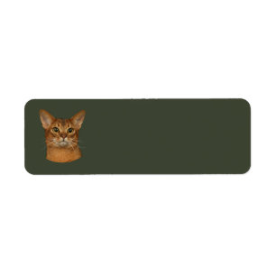 Etiqueta gato abyssinian