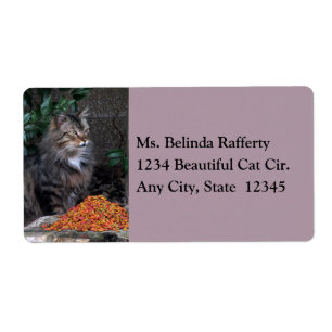 Etiqueta Gato com Rótulos de Envio Cardíaco Grateful