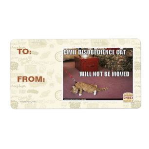 Etiqueta Gato da desobediência civil