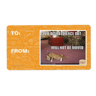 Etiqueta Gato da desobediência civil