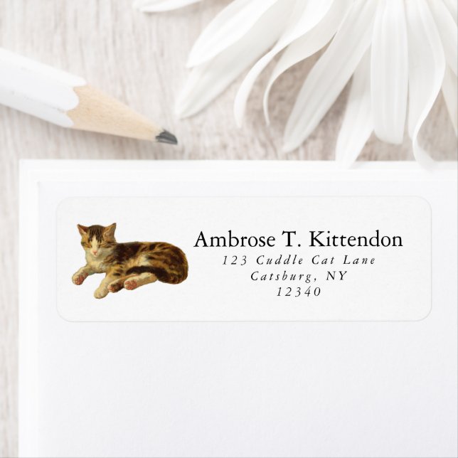 Etiqueta Gato de Cinto Dormido e Dormido Brancos (Insitu)