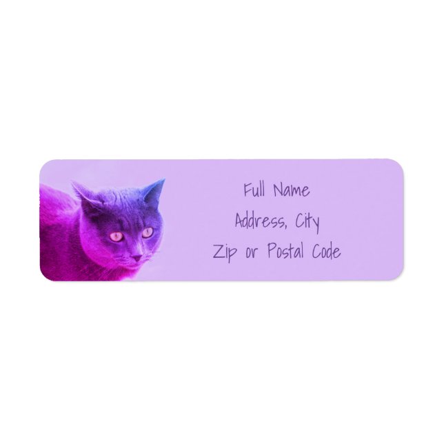Etiqueta Gato de Gatinho Roxo (Frente)