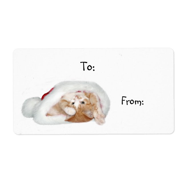 Etiqueta Gato de Natal lúcido (Frente)