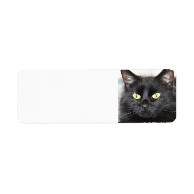 Etiqueta Gato Negro (Frente)