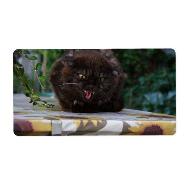 Etiqueta Gato Negro Irritado (Frente)
