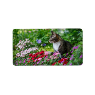 Etiqueta Gato no Jardim