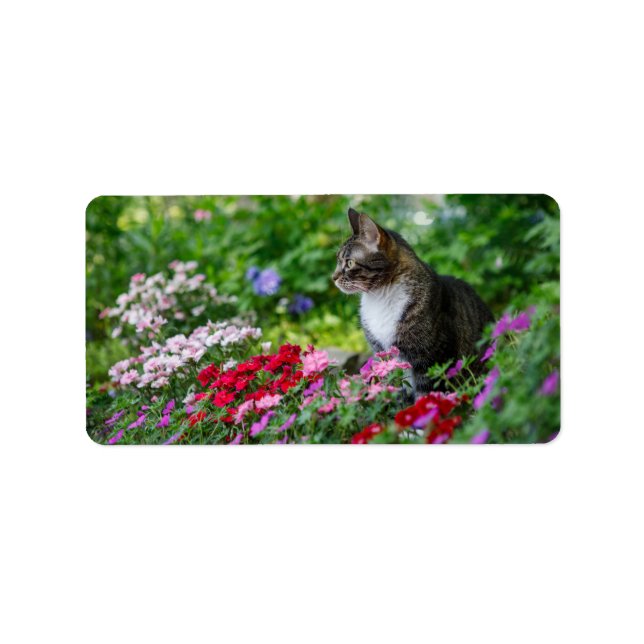 Etiqueta Gato no Jardim (Frente)