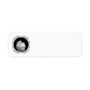 Etiqueta Gato Persa com Olhos Verde Jade