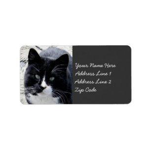Etiqueta Gato preto de Tom com marcações brancas